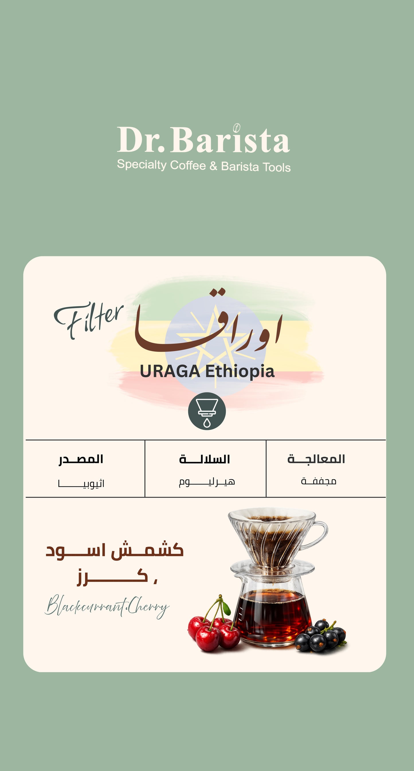 Dr.barista URAGA Ethiopia - Filter 250g | بن اوراقا