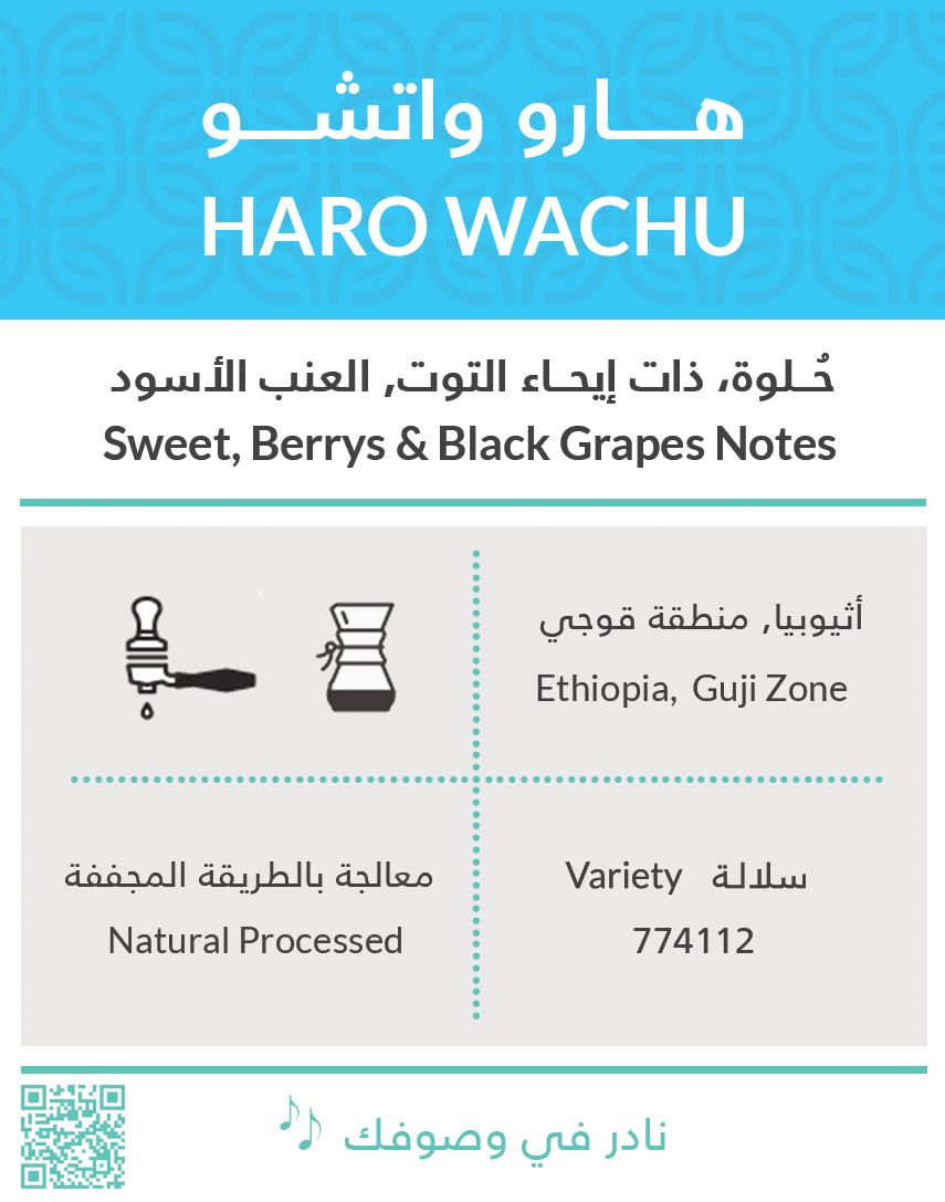 Kiffa Ethiopia HARO WACHU - Natural 250g | بن إثيوبيا