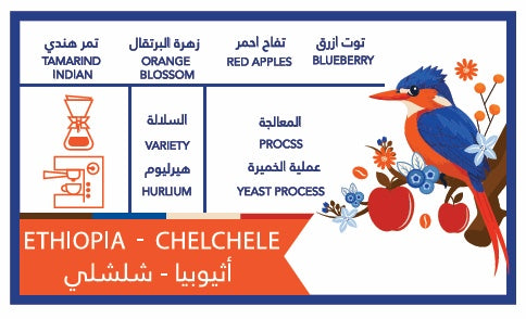 Caffeine Batch Ethiopia Chelchele 250g | بن إثيوبي