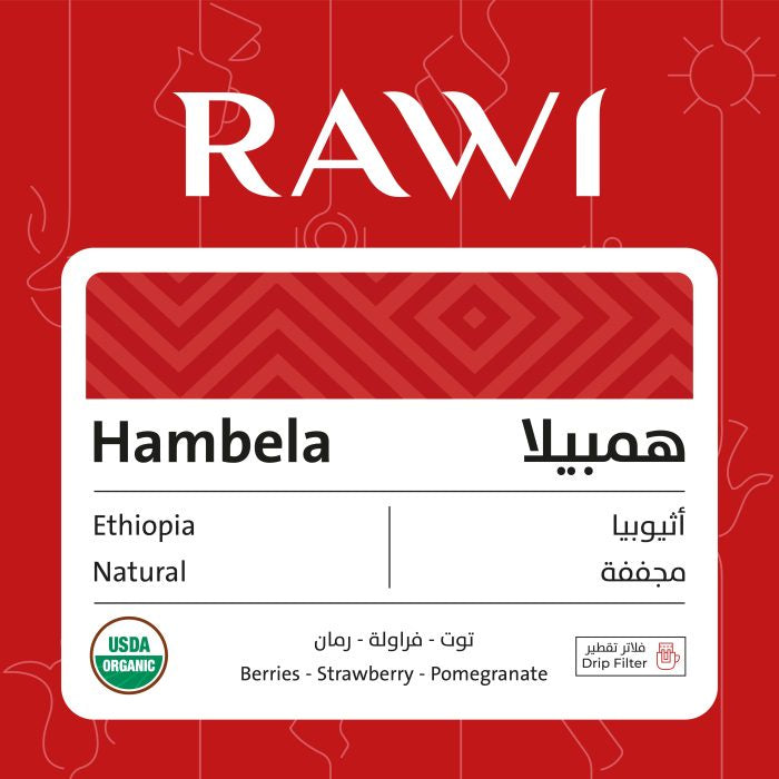 Rawi Ethiopia HAMBELA - Drip Filter
