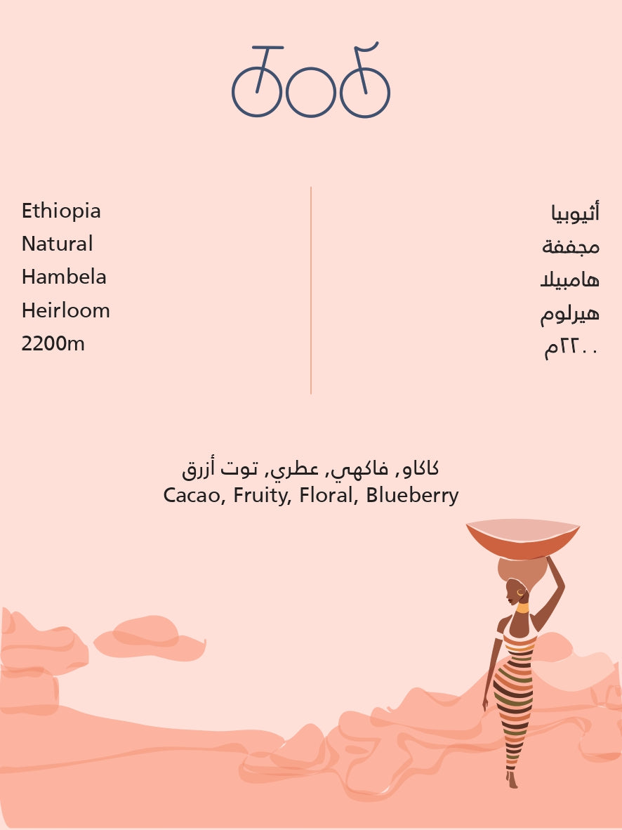 Tricycle Ethiopia HAMBELA 250g بن هامبيلا