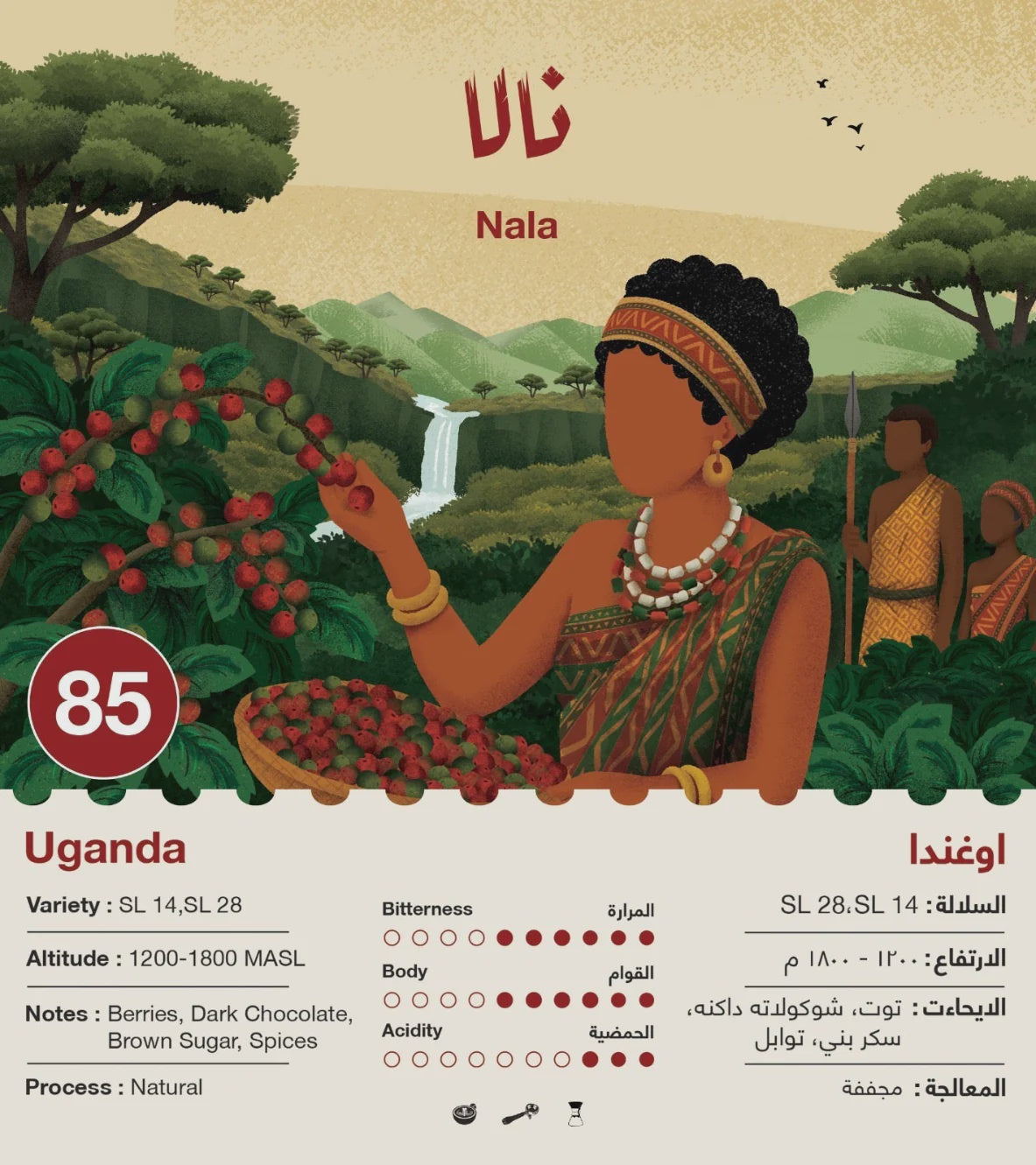 Jebla NALA Uganda 250g | بن أوغندا