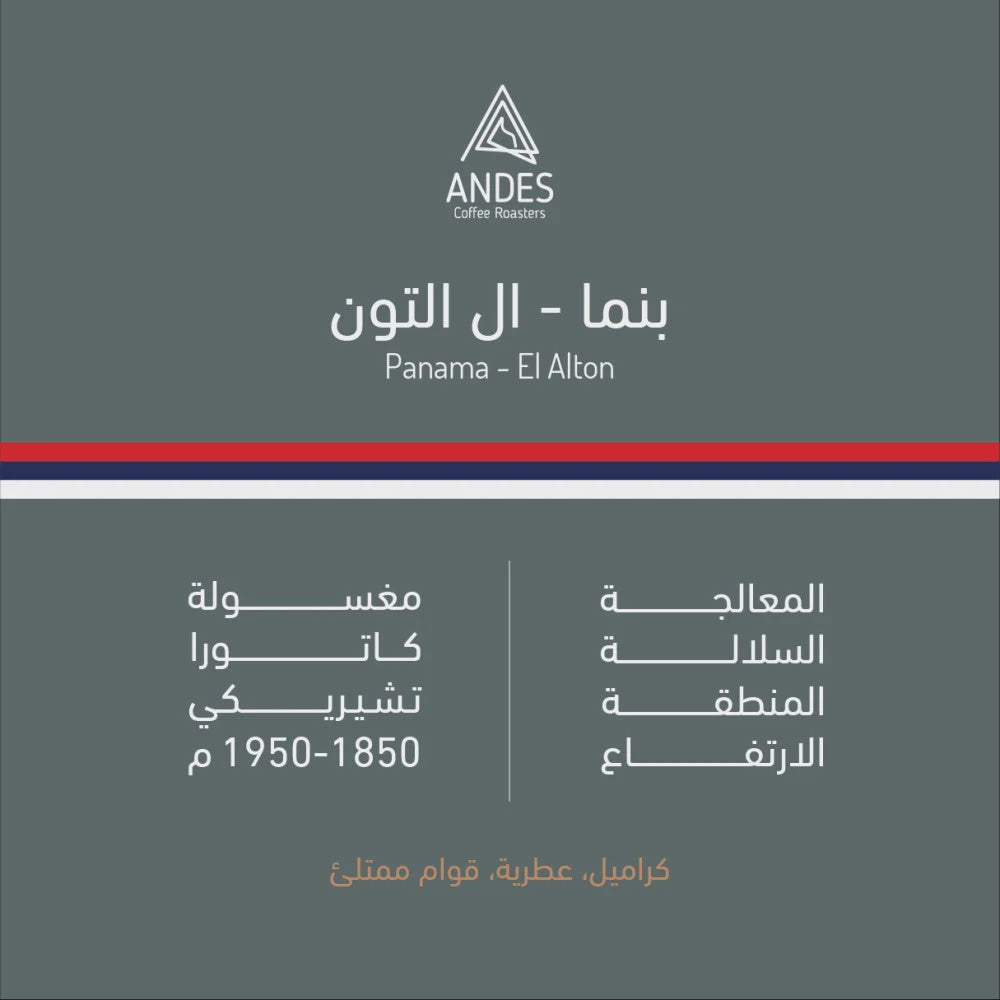 Andes Panama El Alton 250g | بن بنما