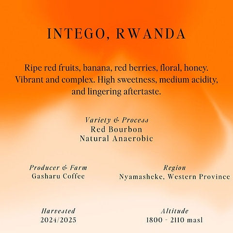 Sumo Rwanda Intego 250g بن راوندا انتيغو