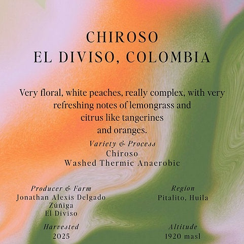 Sumo Colombia Chiroso El Diviso 250g بن تشيروسو