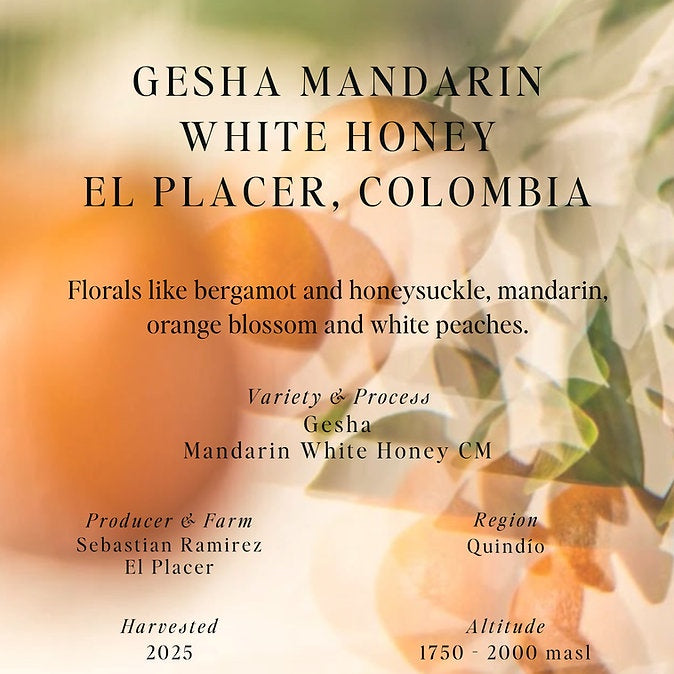 Sumo Colombia El Placer Gesha Mandarin 250g - Filter