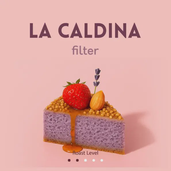 Airroastery Colombia LA CALDINA 250g - Filter لاكالدينا