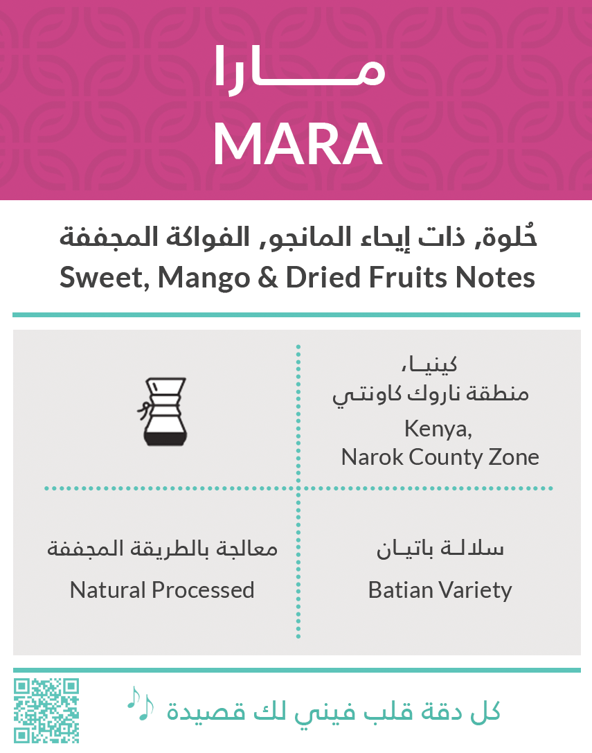 Kiffa Kenya MARA 250g - Filter بن مارا