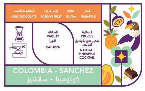 Caffeine Batch Colombia Sanchez 250g | بن كولومبي