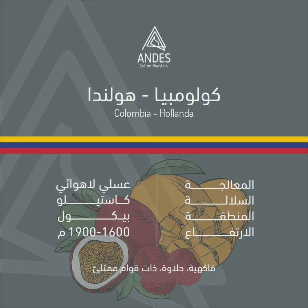 Andes Colombia Hollanda 250g | بن كولومبيا