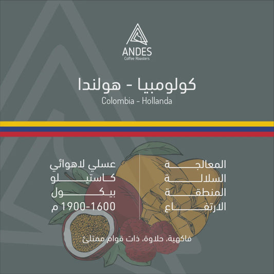 Andes Colombia Hollanda 250g | بن كولومبيا