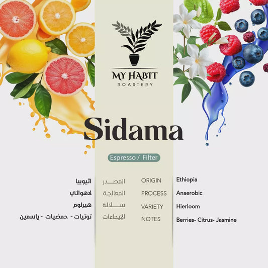 MyHabit Ethiopia Sidama 250g | بن إثيوبي