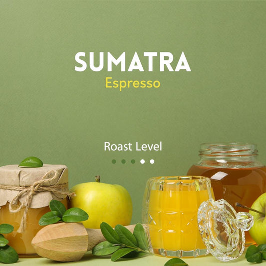 Airroastery Indonesia SUMATRA 250g - Espresso