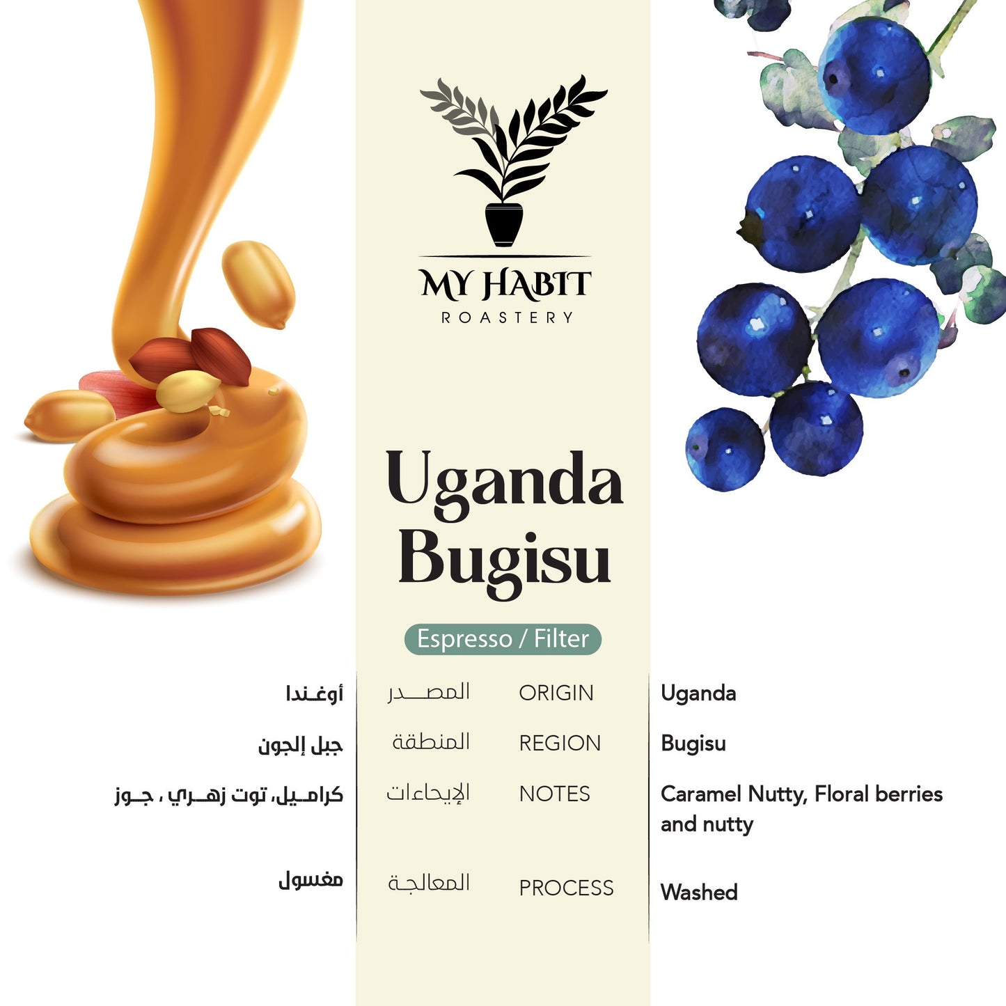 MyHabit Uganda Bugisu 250g | بن أوغندا