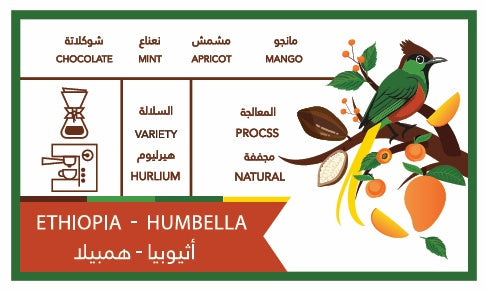 Caffeine Batch Ethiopia Hambela 250g | بن إثيوبي
