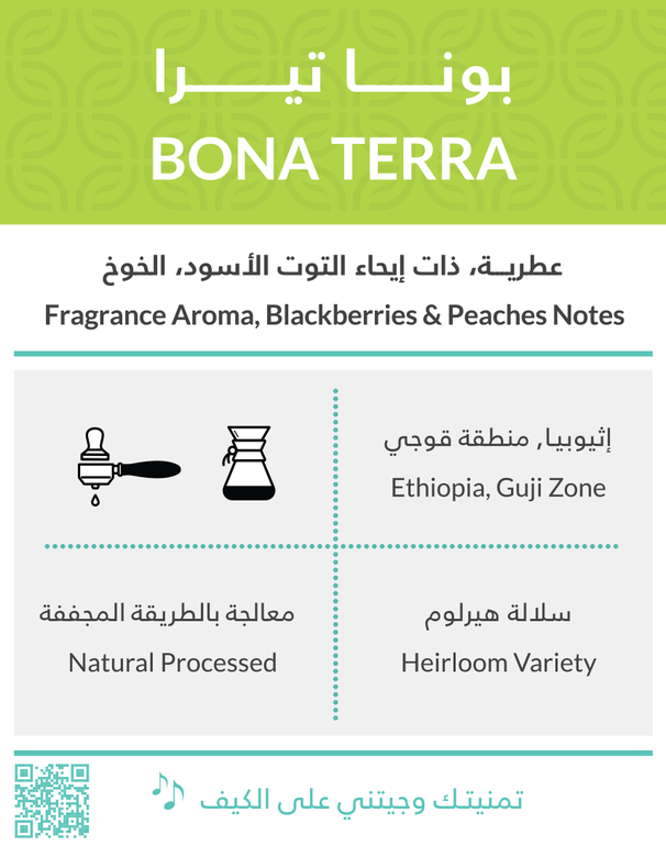 Kiffa Ethiopia BONA TERRA 250g | بن إثيوبيا