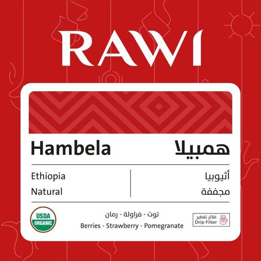 Rawi  Ethiopia HAMBELA - Drip Filter