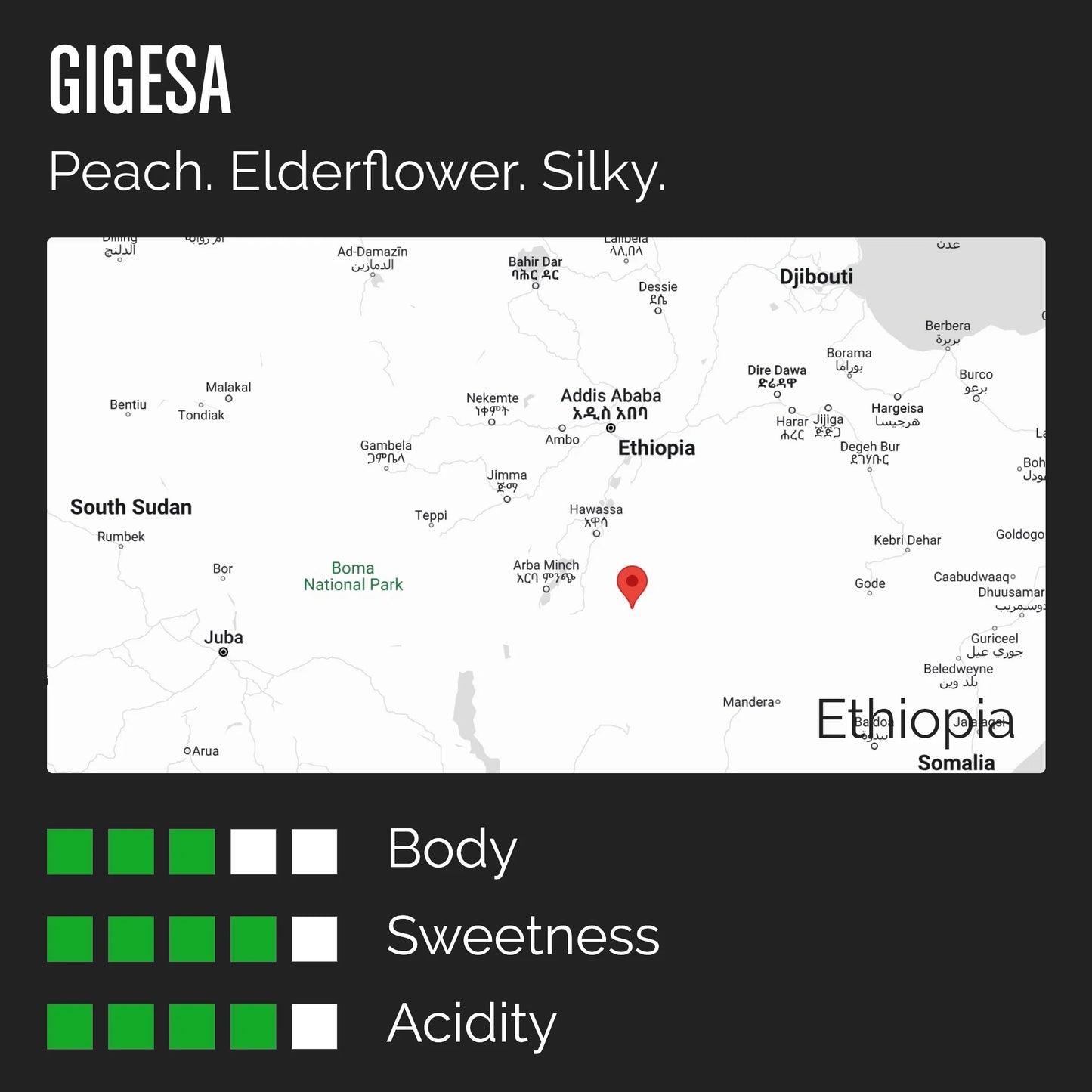 TheBarn Ethiopia Gigesa, Washed - Espresso 250g