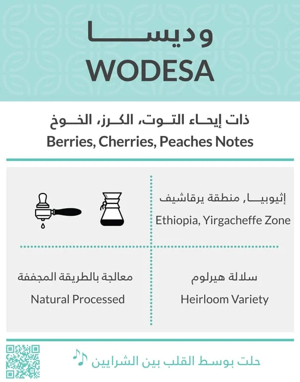 Kiffa Ethiopia WODESA 250g | بن إثيوبيا