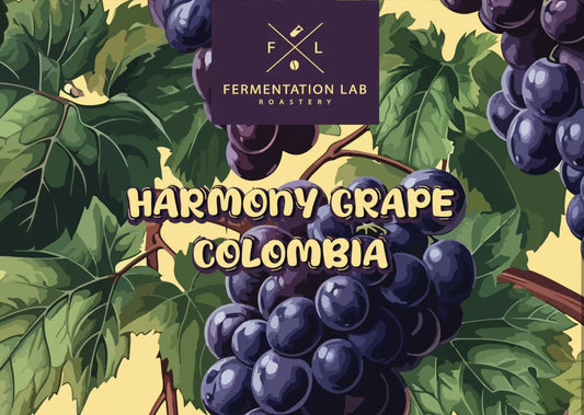 Fermentation Lab Colombia Harmony Grape  - Filter 100g