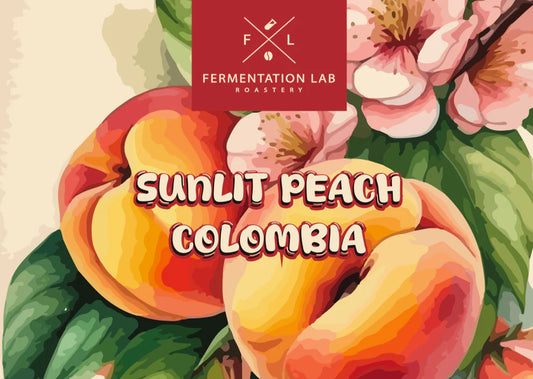 Fermentation Lab Colombia Sunlit Peach  - Filter 100g