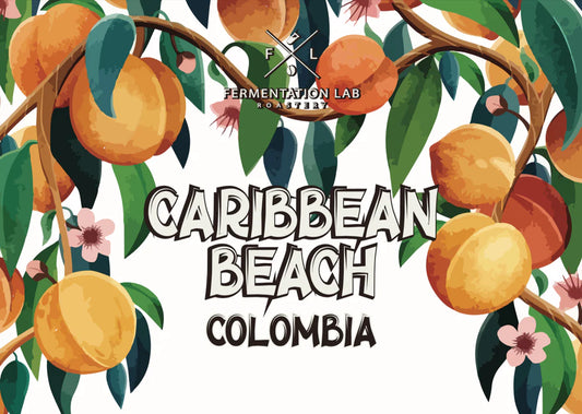 FermentationLab Colombia Caribbean Beach  - Filter 100g