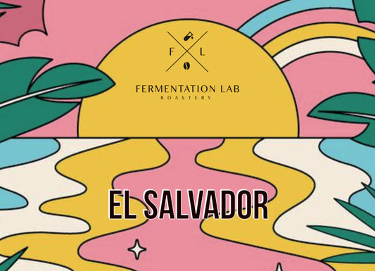 FermentationLab El Salvador Mario, Natural - Espresso 250g