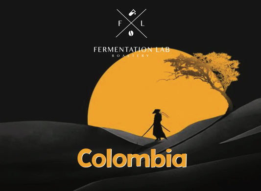 FermentationLab Colombia Professor, Cherry Madness - Filter 250g