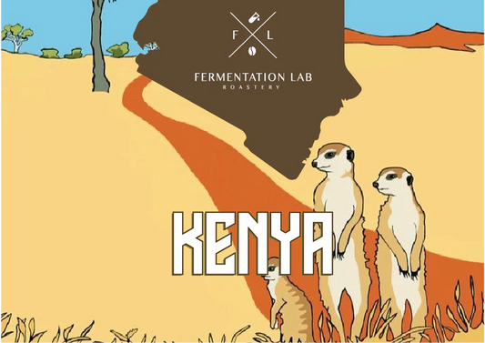FermentationLab Kenya Timon, Natural Anaerobic - Filter 250g
