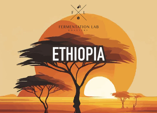 FermentationLab Ethiopia Al Etihad, Anaerobic - Filter 250g