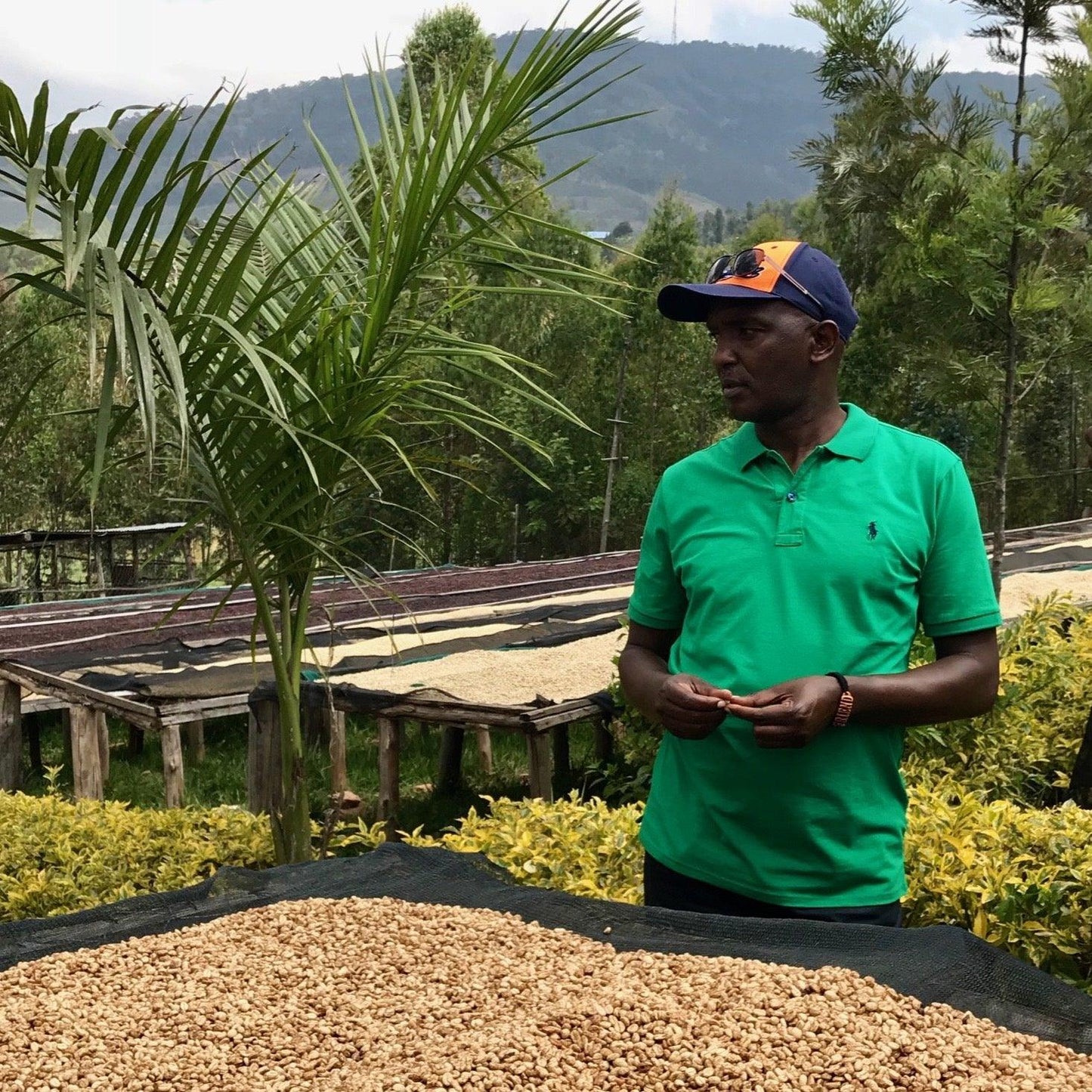 The Barn Rwanda HUYE MOUNTAIN NATURAL - Espresso 250g