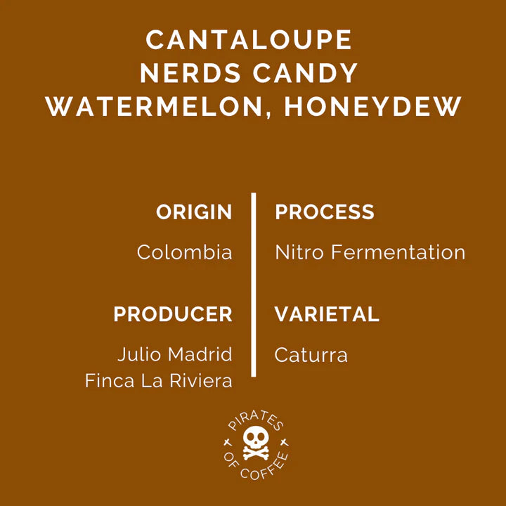 Pirates of Coffee Colombia MELONHEAD NITRO - 250g بن ميلونهيد نيترو