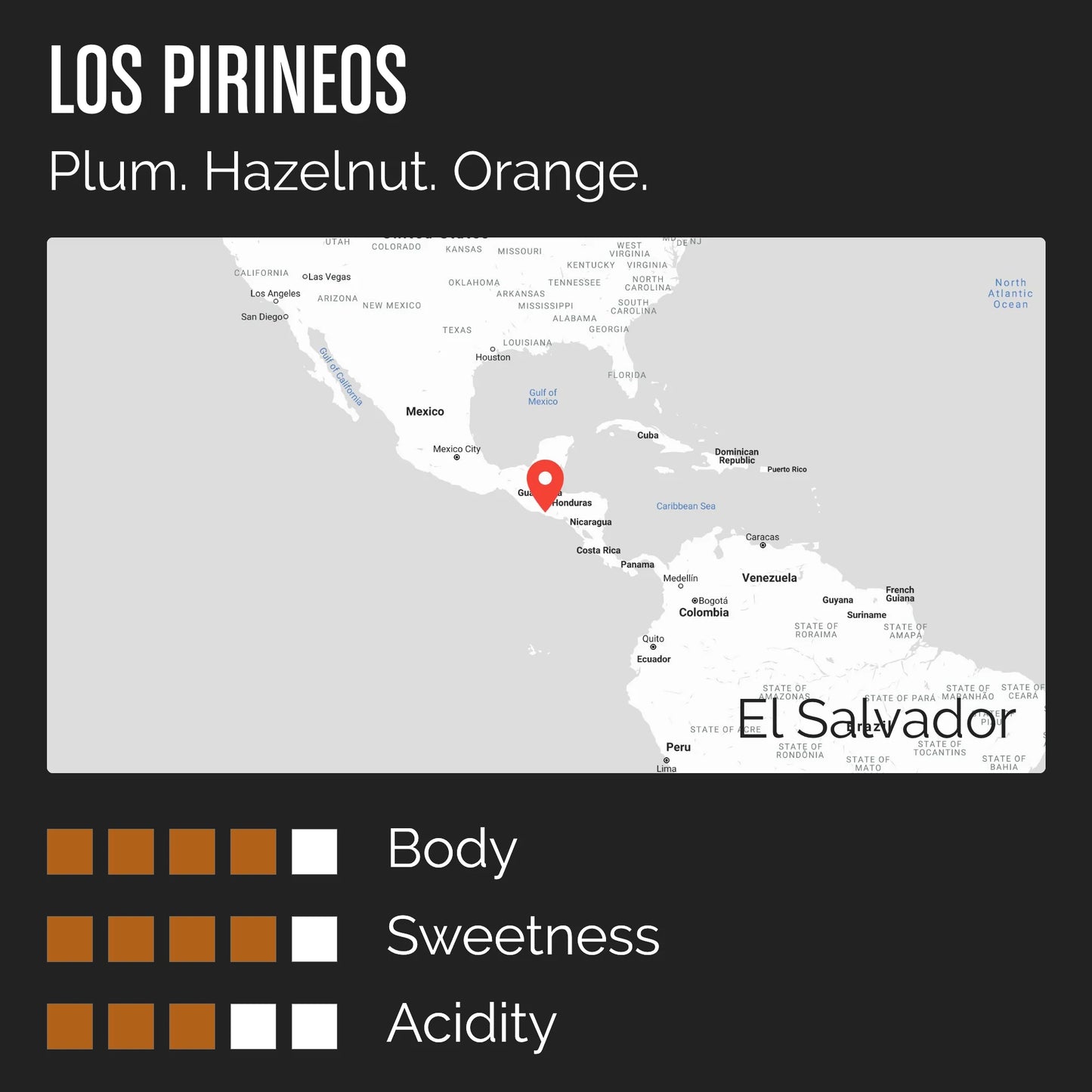 TheBarn El Salvador Los Pirineos Pacamara, Black Honey - Filter 250g