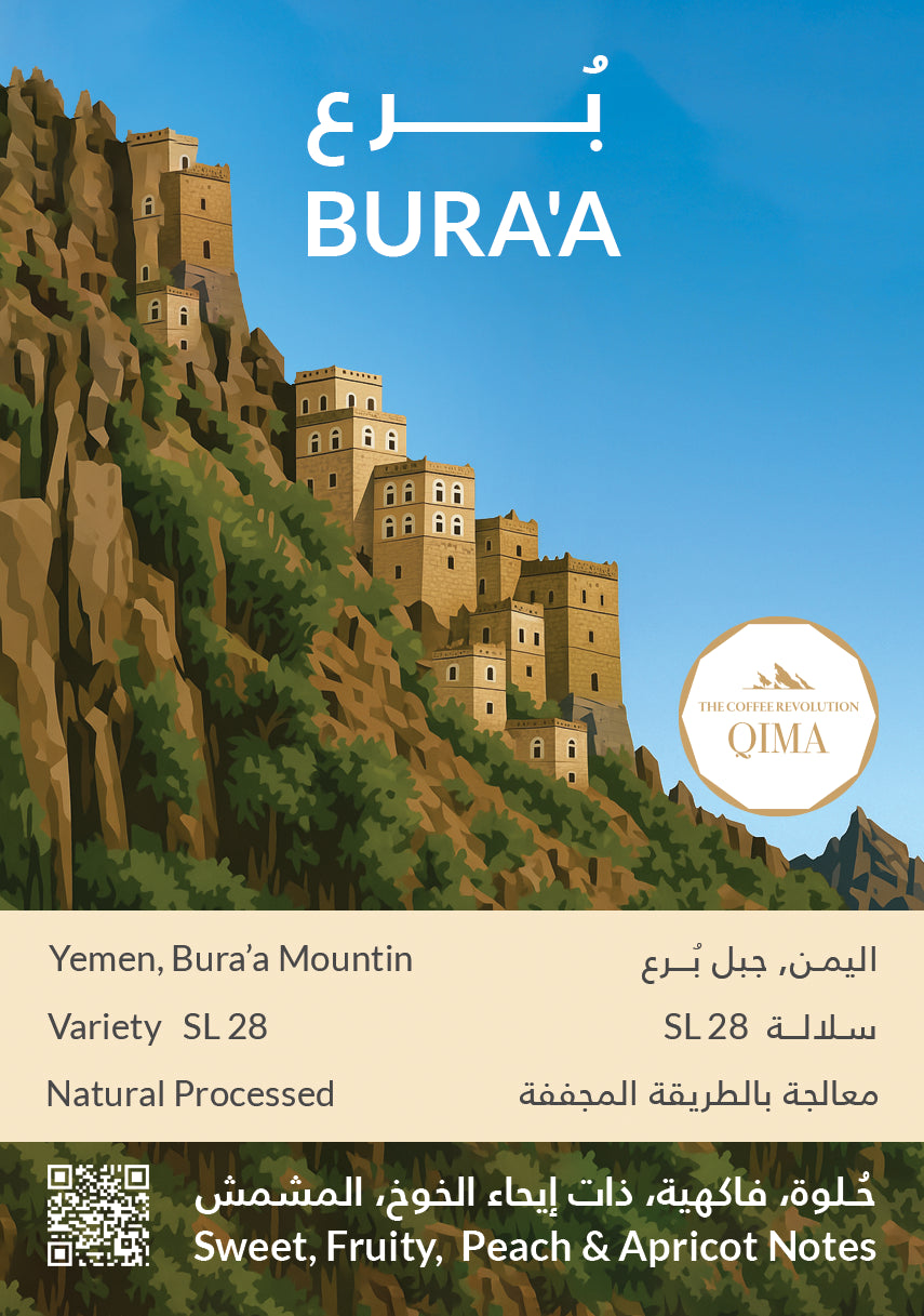 Kiffa Yemen SL28 BURRA MOUNTAIN 250g بن بورا ماونتن