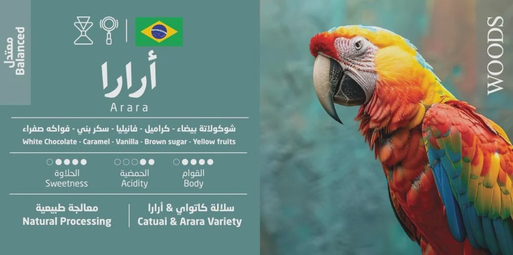 Woods Brazil Arara 250g | بن البرازيل