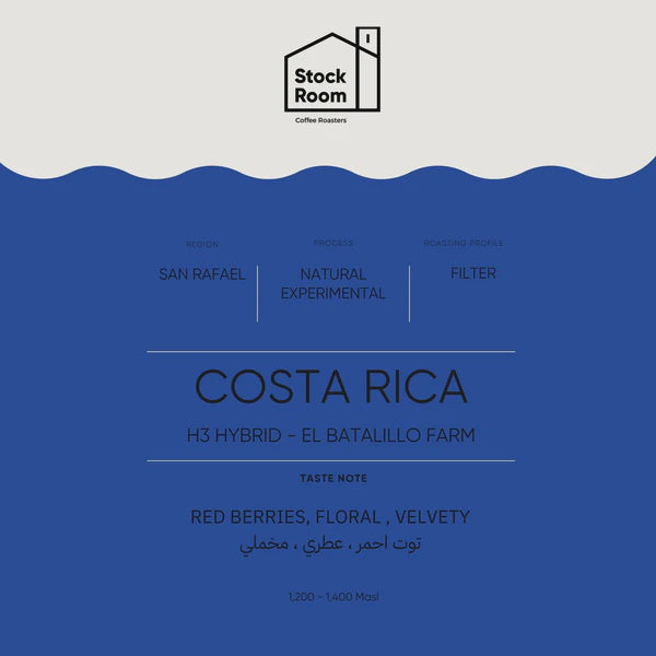 Stockroom Costa Rica H3 Hybrid Filter 250g