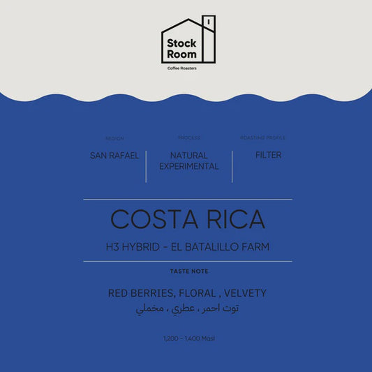 Stockroom Costa Rica H3 Hybrid Filter 250g