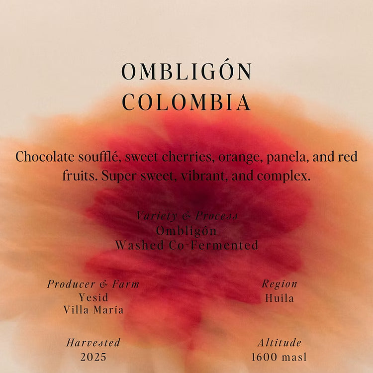 Sumo Colombia Ombligon 250g بن اومبليغون