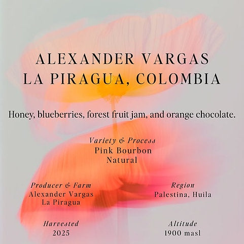 Sumo Colombia Alexander Vargas La Piragua 250g بن الكساندر