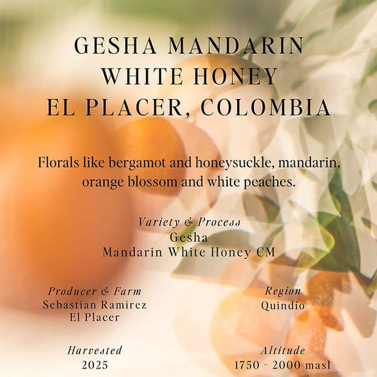 Sumo Colombia El Placer Gesha Mandarin 250g - Filter