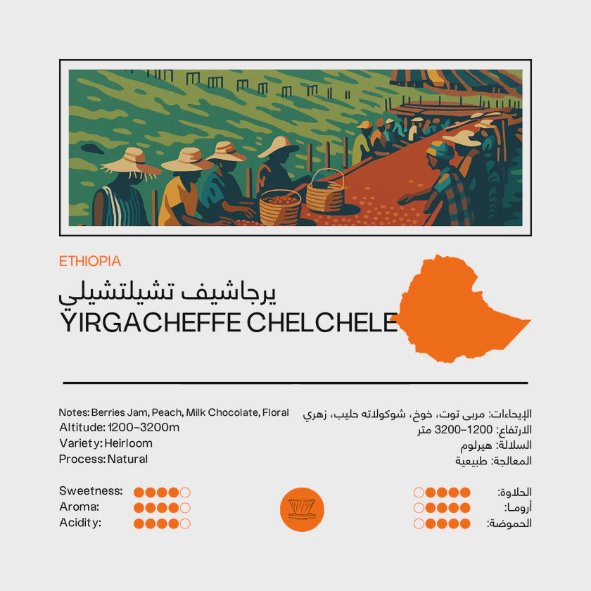 48 East Ethiopia Yirgacheffee Chelchele 250g- Filter