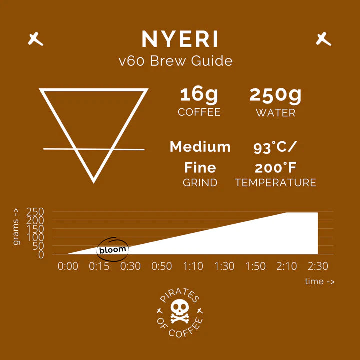 Pirates of Coffee NYERI - Kenya, Washed - Filter 250g