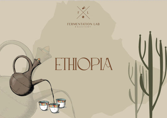 FermentationLab Ethiopia Alsila, Slow Dry Natural - Filter 250g