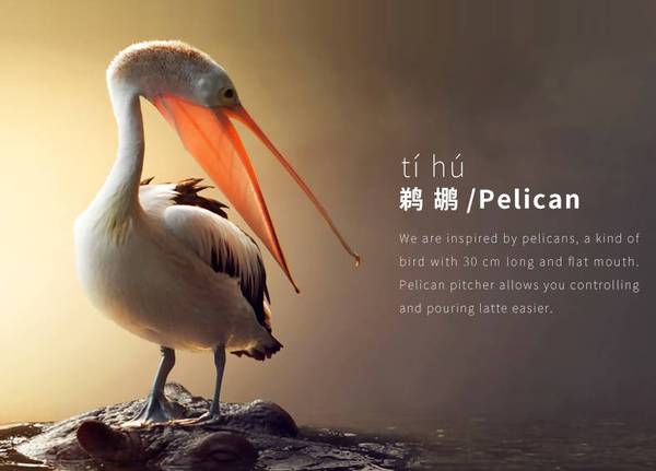 TimeMore Teflon Pelican Pitcher 600ml